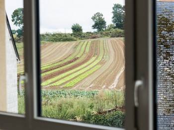 Vue depuis l'une des fenêtres du salon / séjour