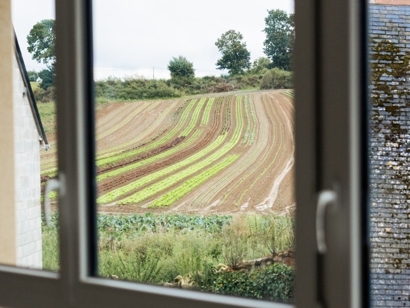Vue depuis l'une des fenêtres du salon / séjour