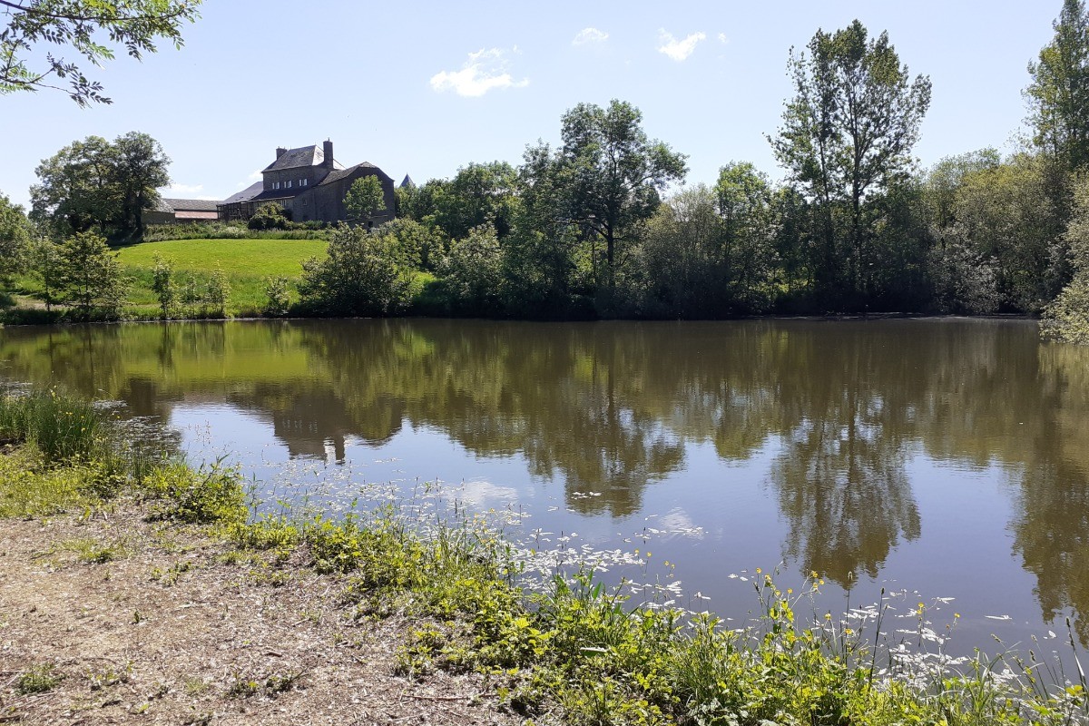 Le plan d'eau pour pécheurs amateurs