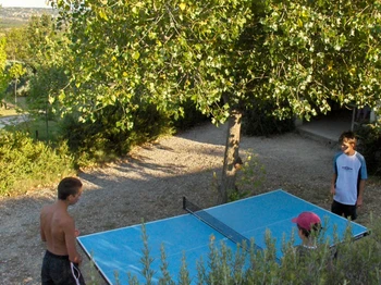 Ping-Pong
