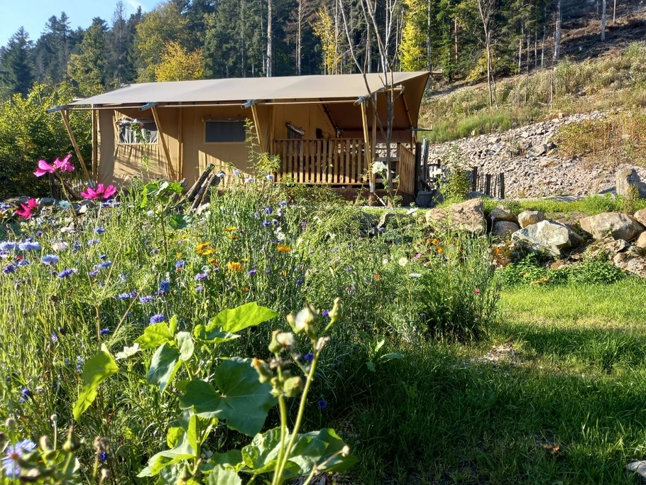 Photo n° 3 de la location