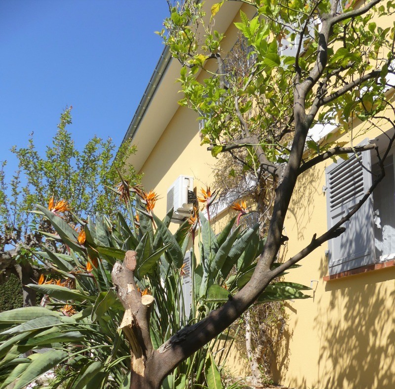 Une nature luxuriante