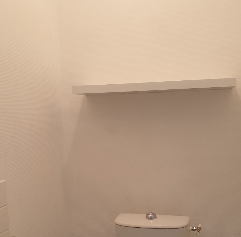 toilettes et lave main