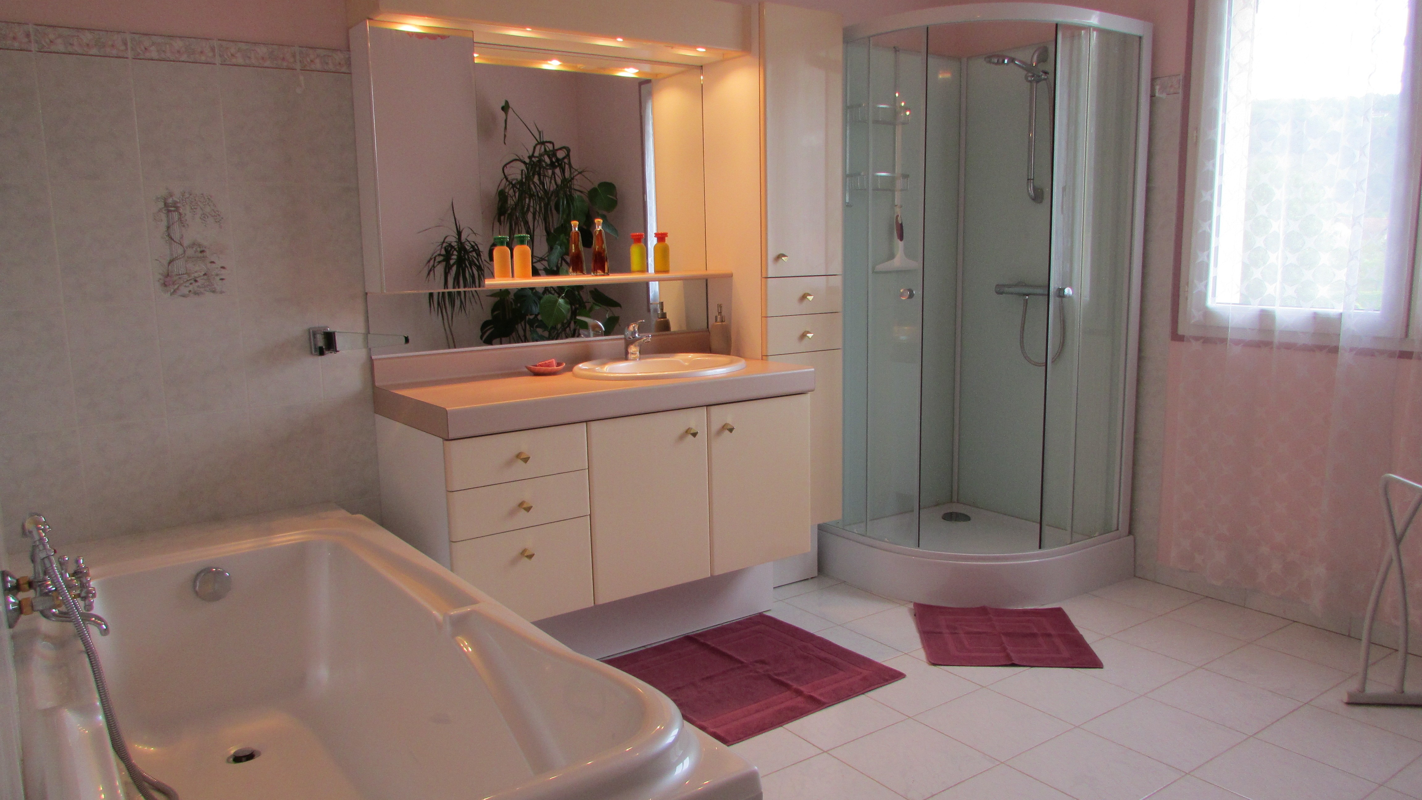 Salle de bain