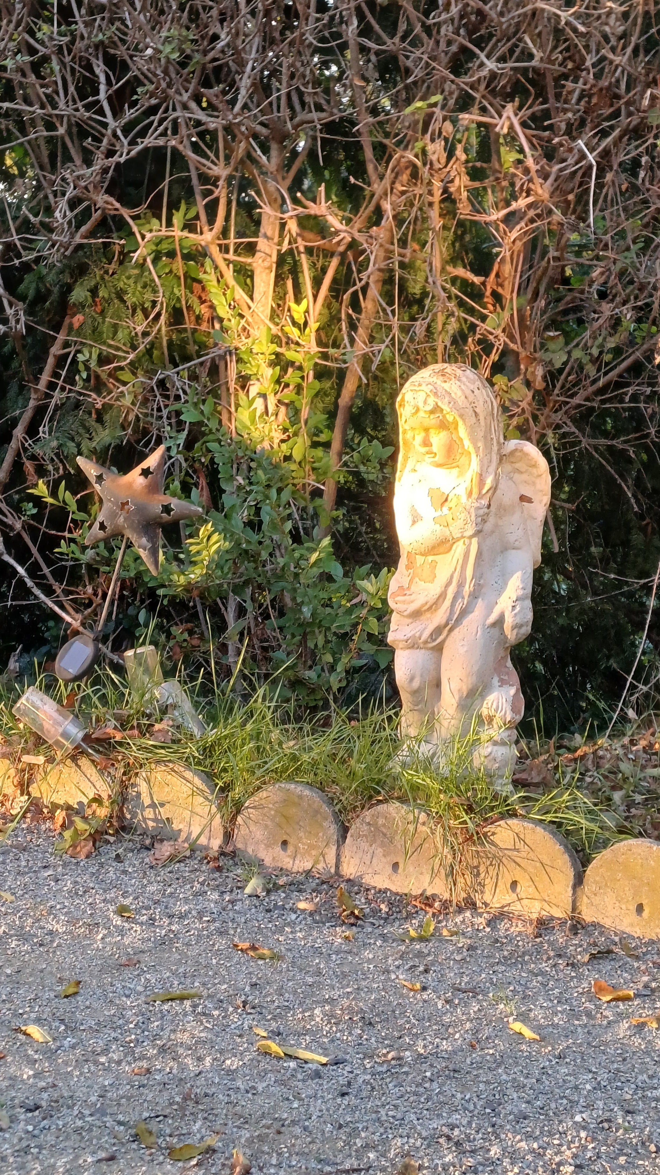 Photo n° 9 de la location