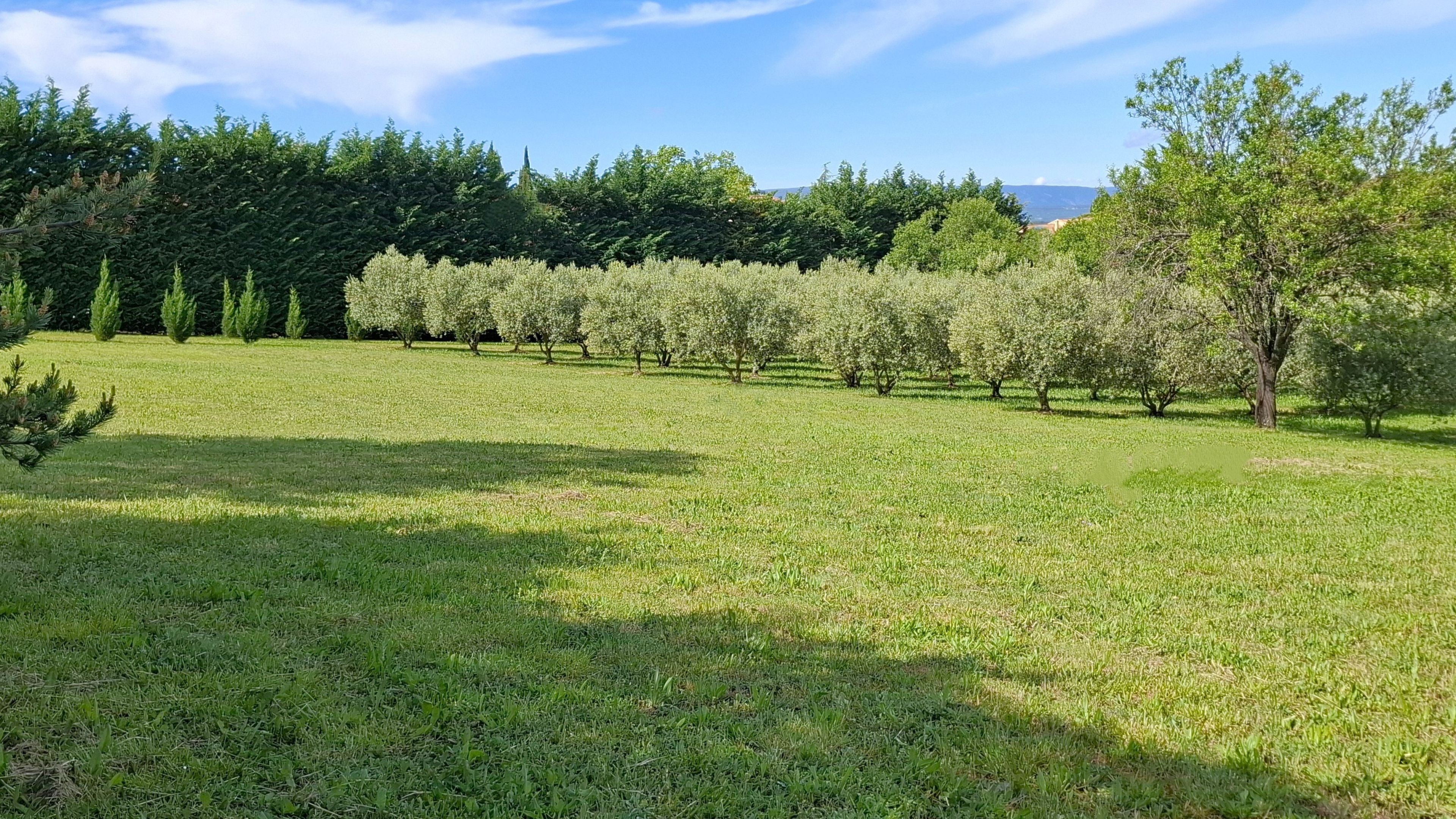 LES LUMIGNONS - LUBERON - Meublé de Tourisme 3 Etoiles