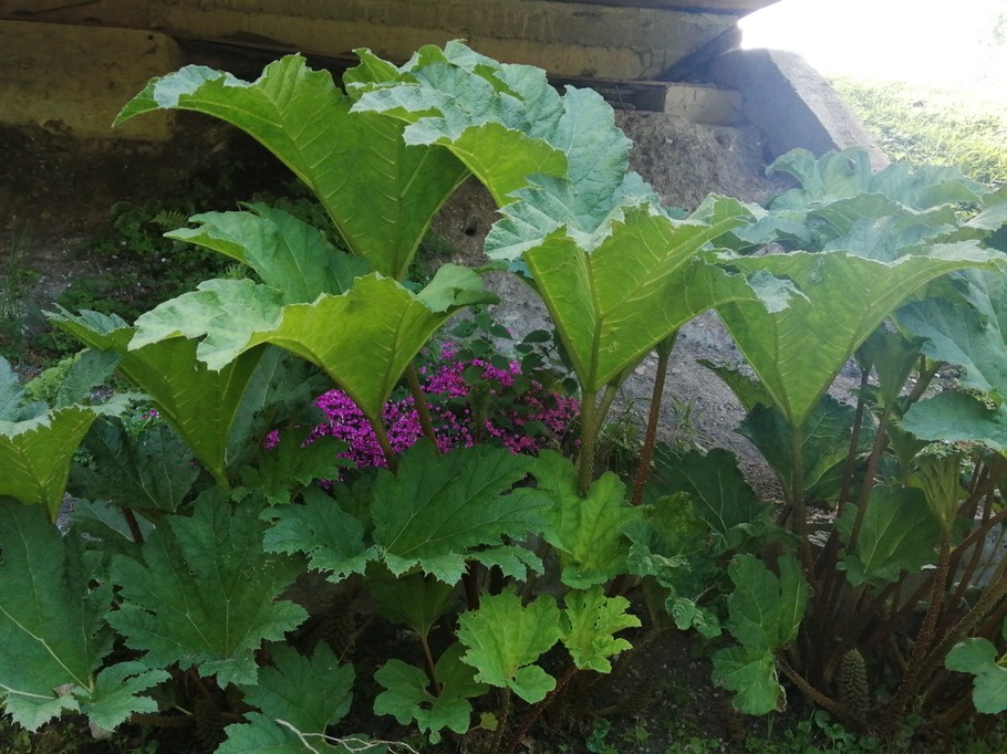 Photo n° 17 de la location