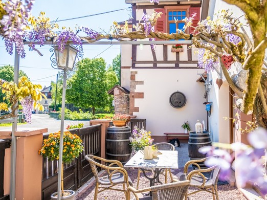 Votre terrasse, la maison du propriétaire au fond, le gîte à droite