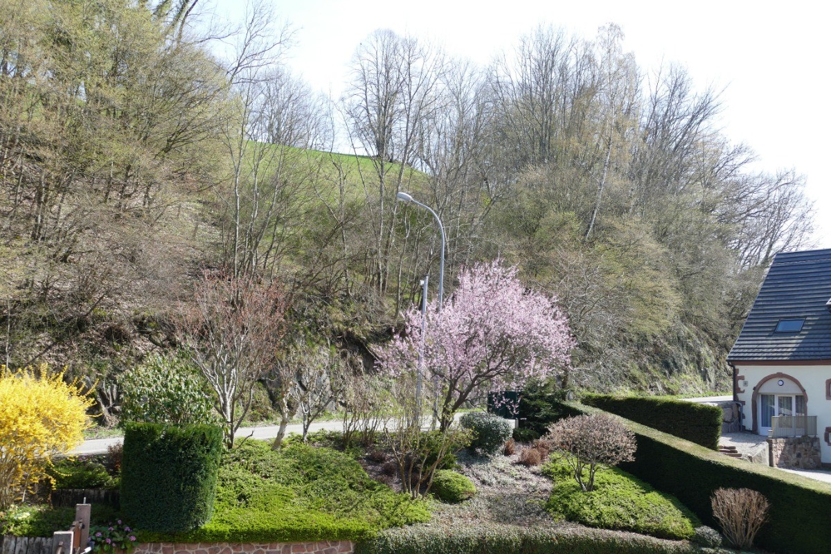 Photo n° 18 of the location