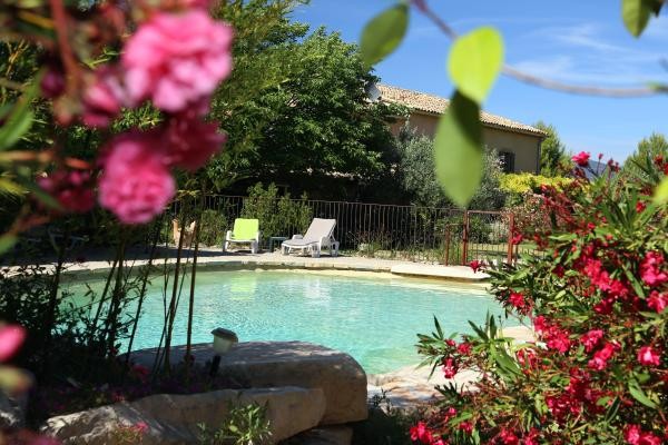 Végétation aux abords de la piscine
