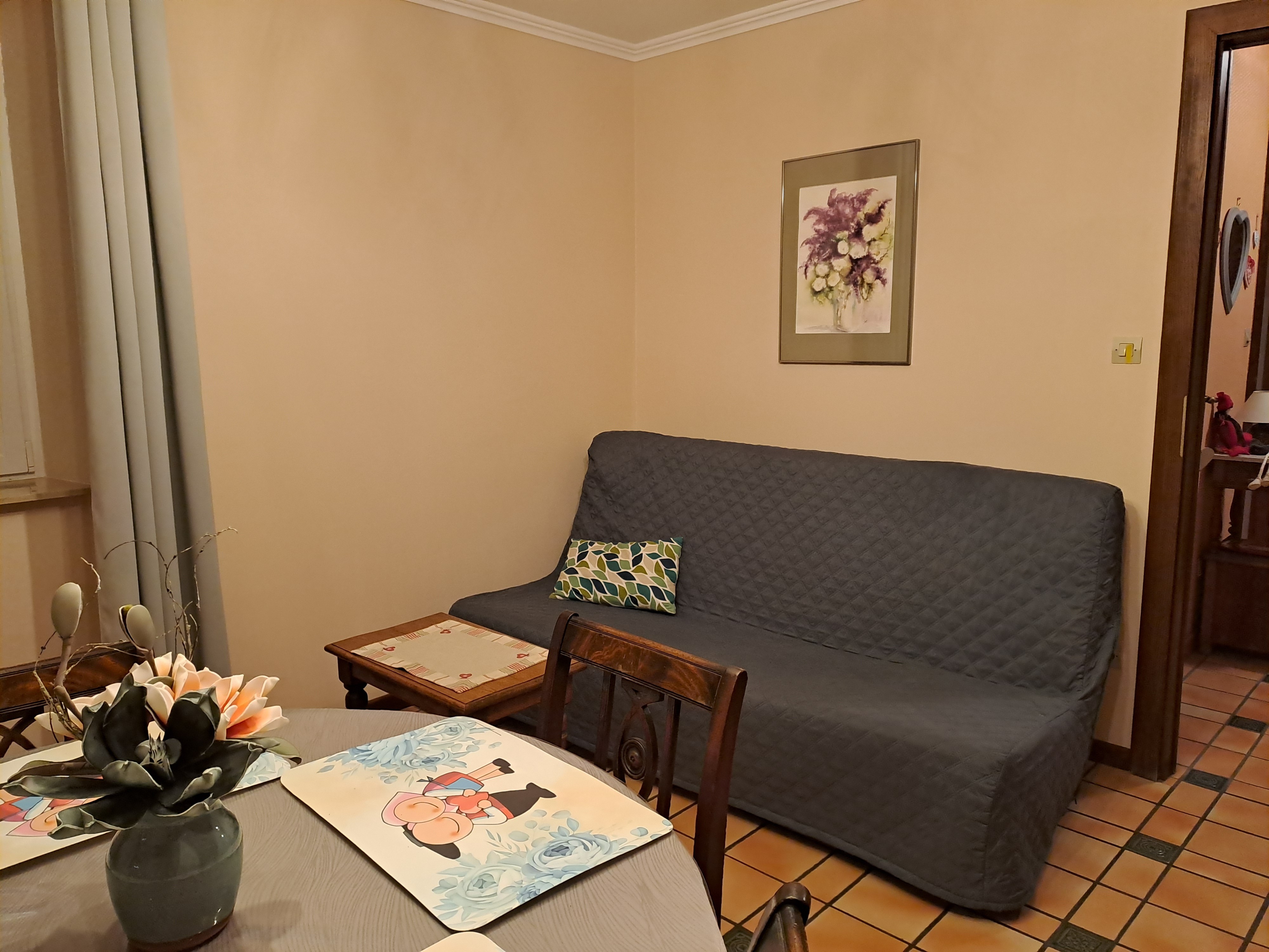 Salon/séjour