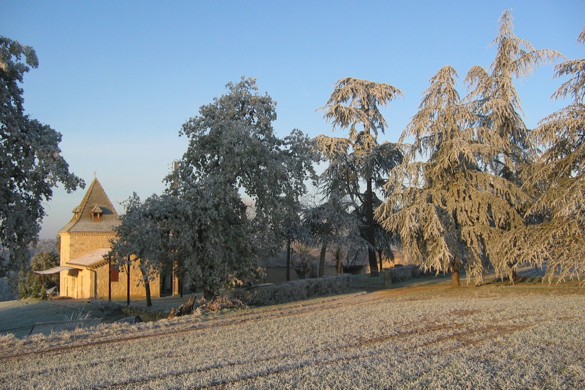 Soleil et givre d'automne