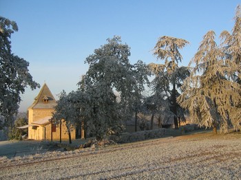 Soleil et givre d'automne
