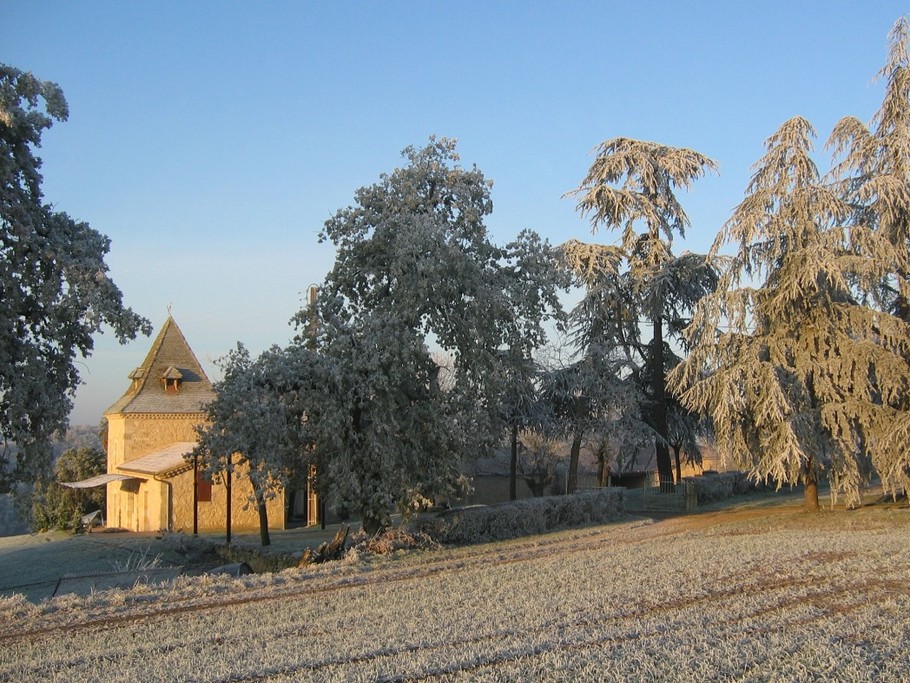 Soleil et givre d'automne