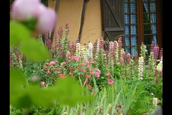 jardin