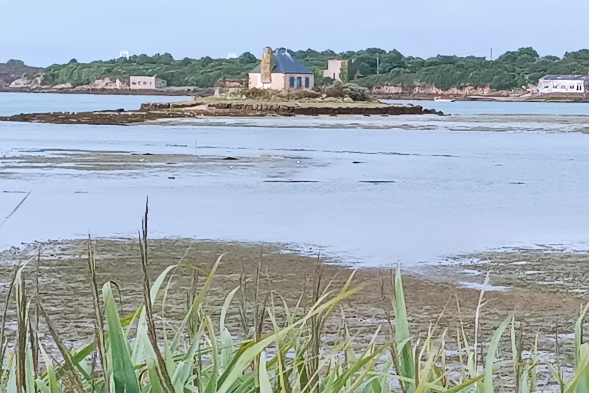 Ile du Nohic sur la Ria - Plouhinec