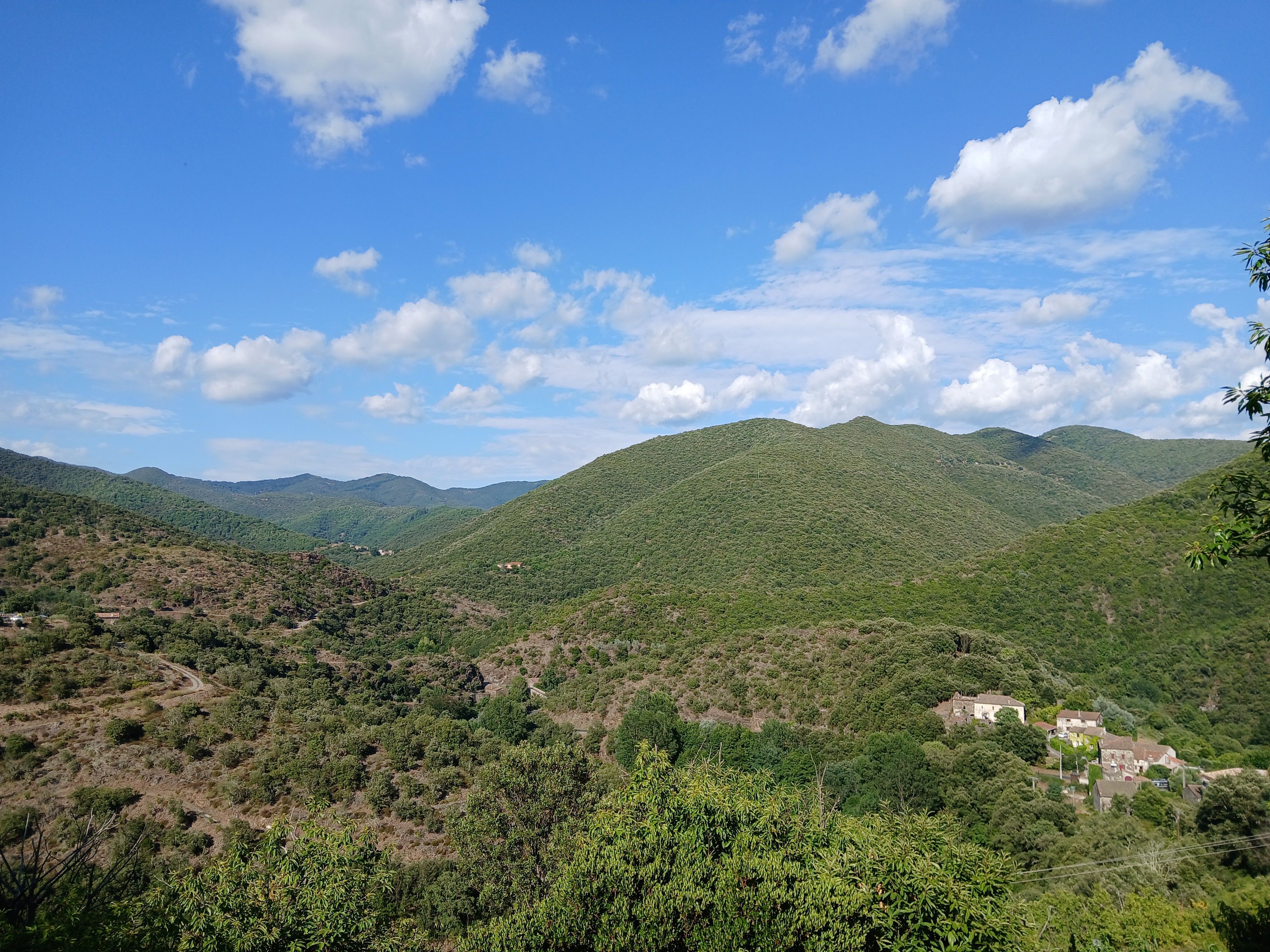 Environnement du gite -