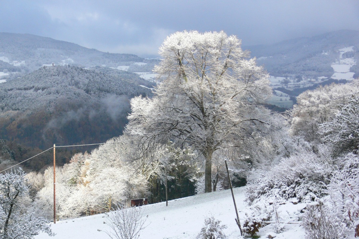 Photo n° 12 of the location