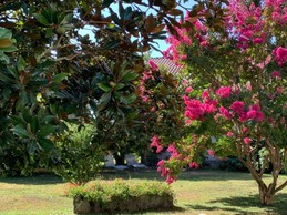 Image n° 2 de la location