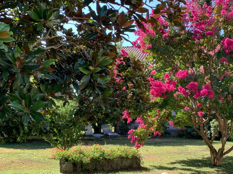 Photo n° 2 of the location