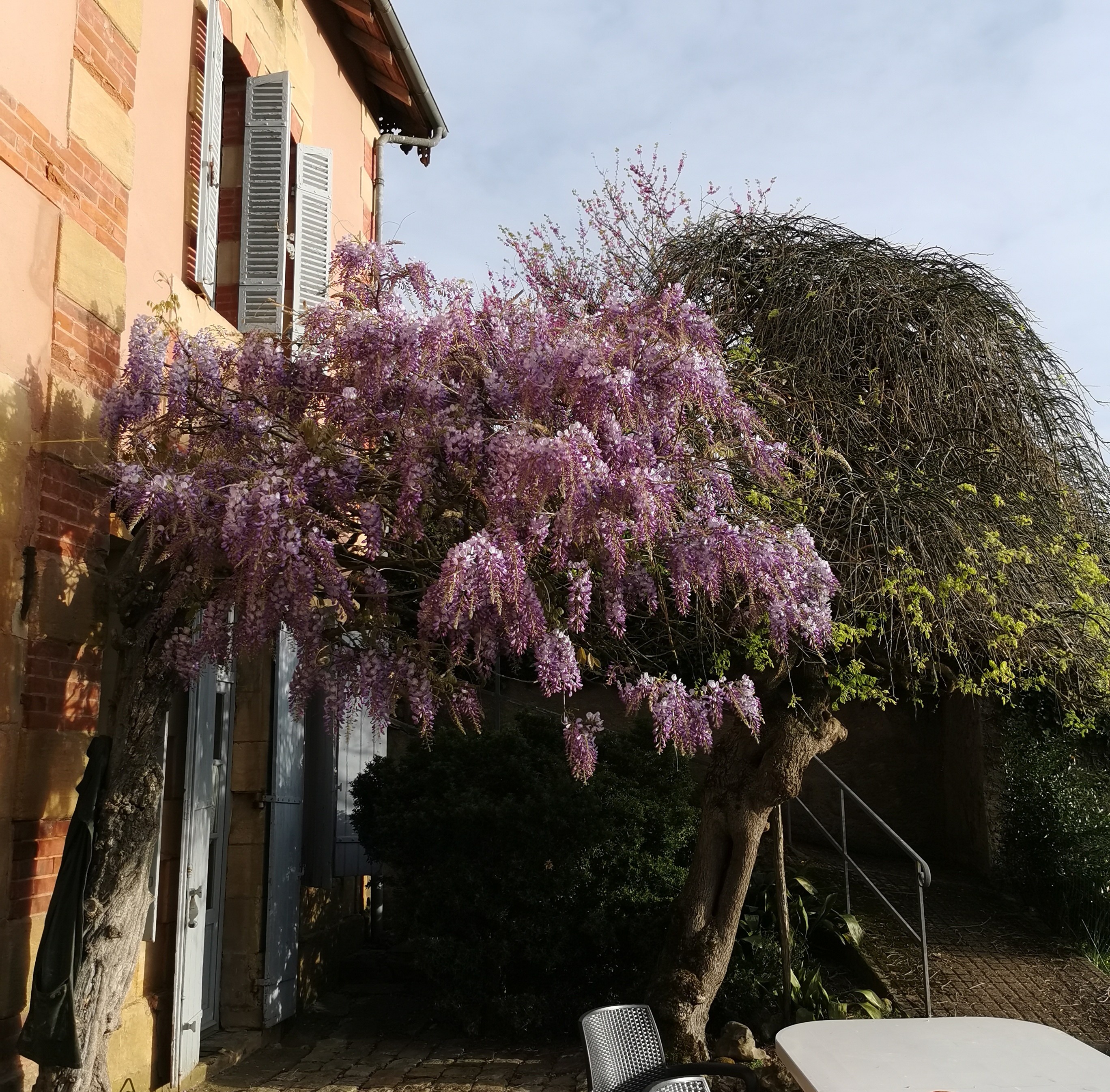 Photo n° 14 de la location