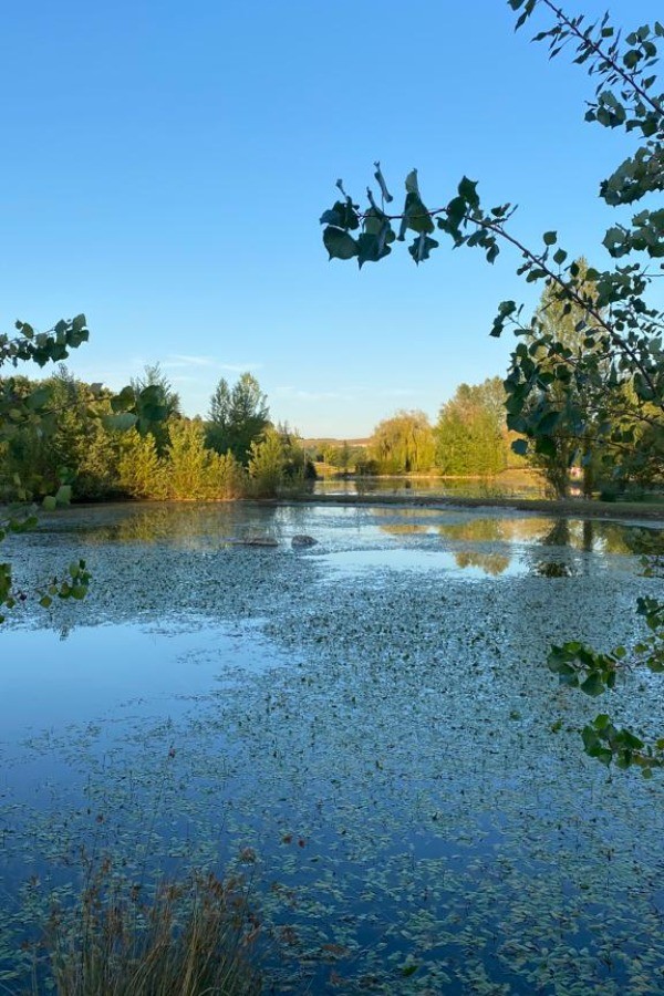 Le domaine du lac de Goulens - Layrac Lot-et-Garonne