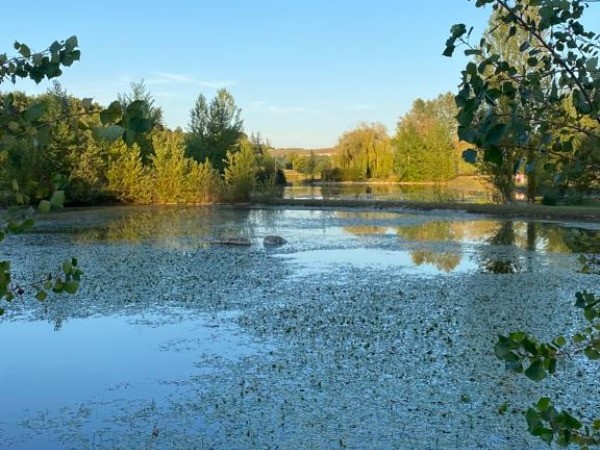 Le domaine du lac de Goulens - Layrac Lot-et-Garonne