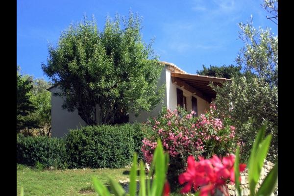 L'Amandier