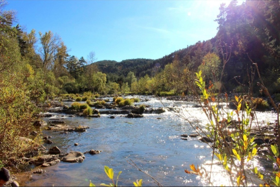 La Loire Sauvage