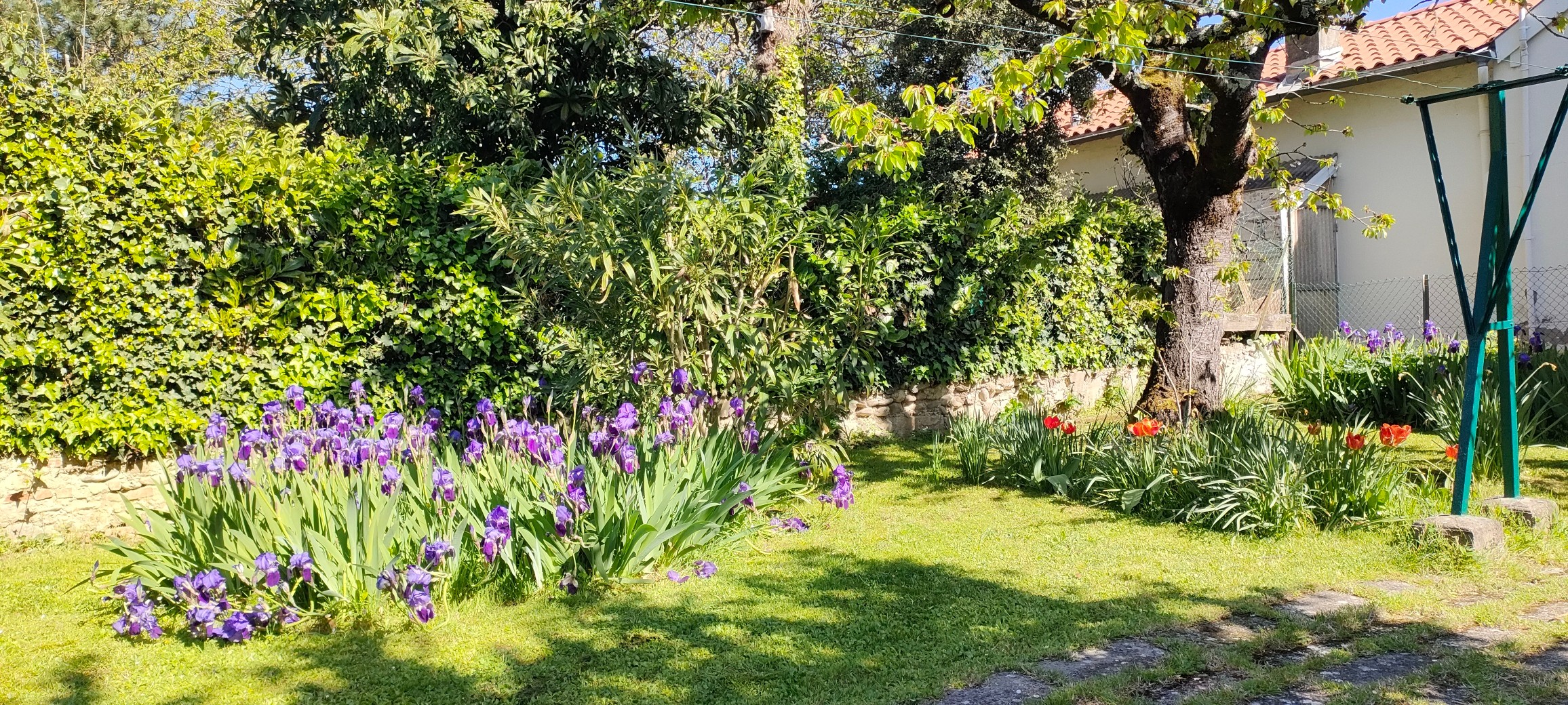 JARDIN