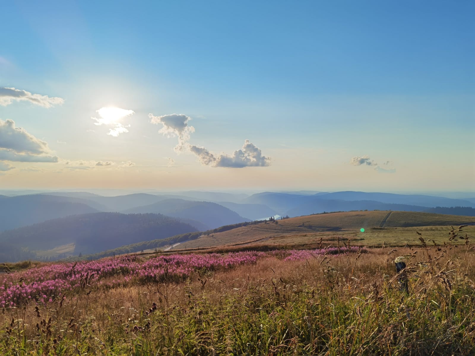 A proixmité du Gîte chalet paisible