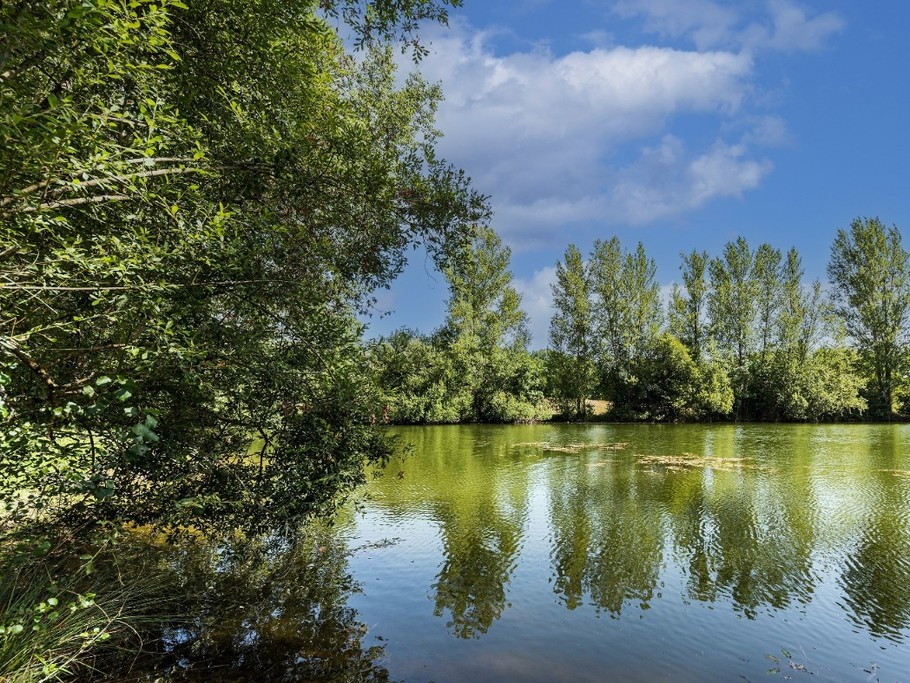 Gîte 4 personnes avec piscine et spa en Lot-et-Garonne