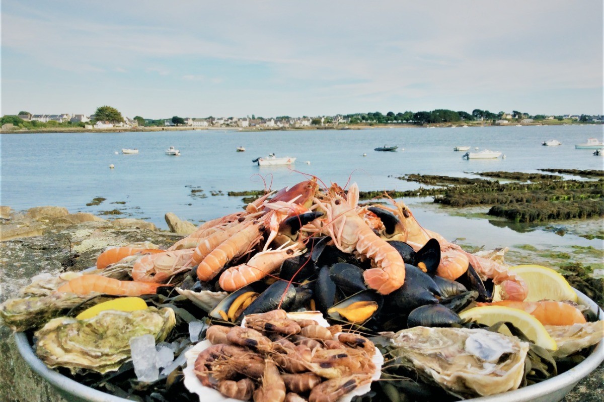 Degustation de Fruits de Mer au bord de la Ria