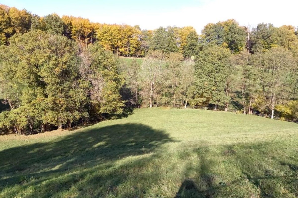 Photo n° 11 de la location