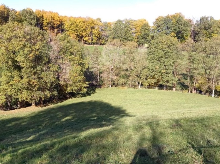 Photo n° 11 de la location