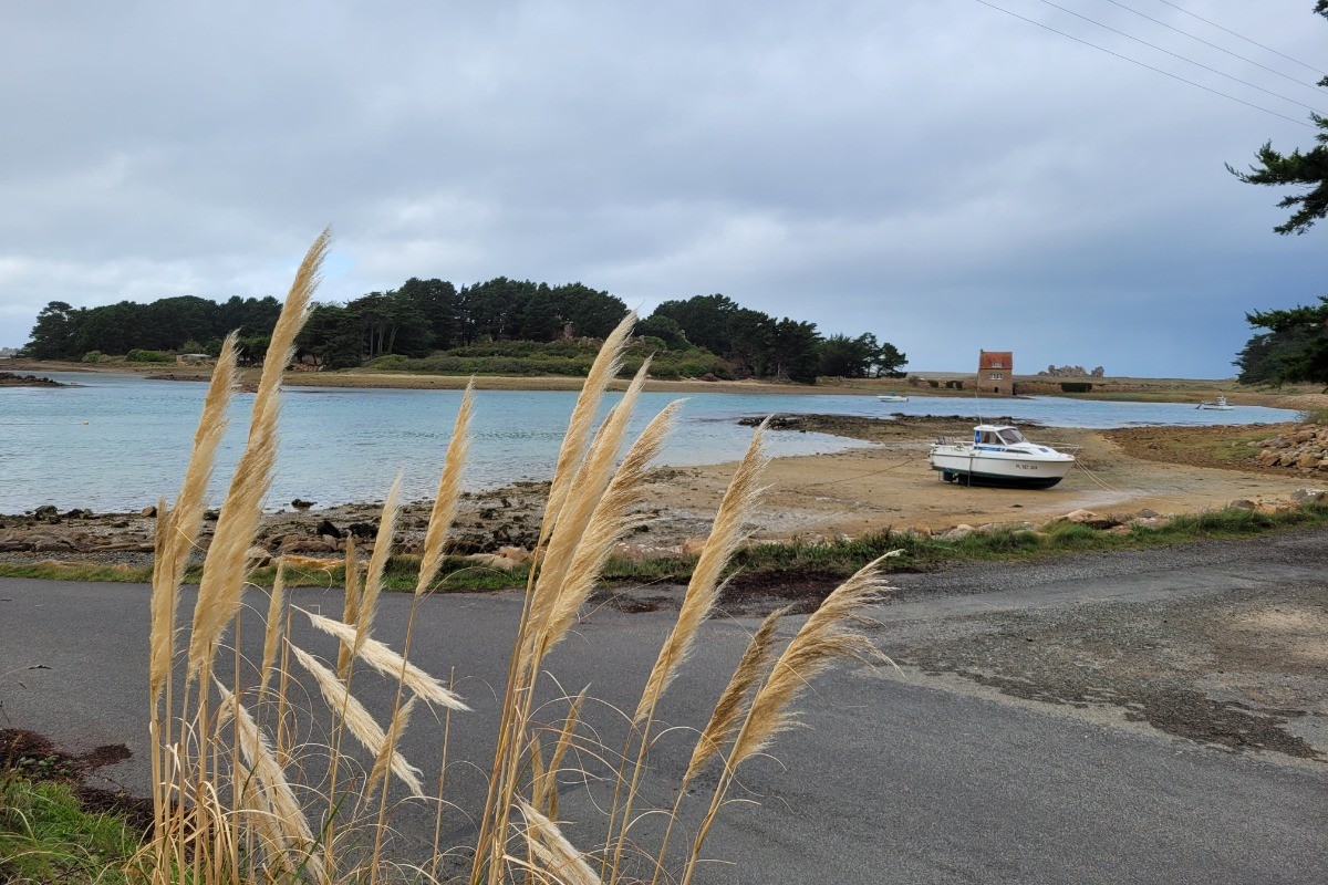 Photo n° 13 de la location