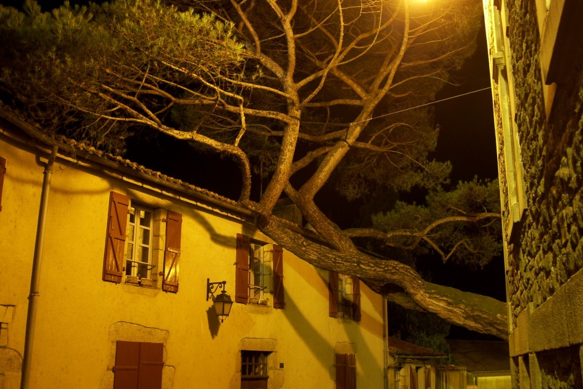 Clisson