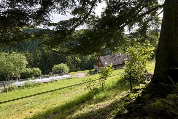 Photo n° 15 of the location