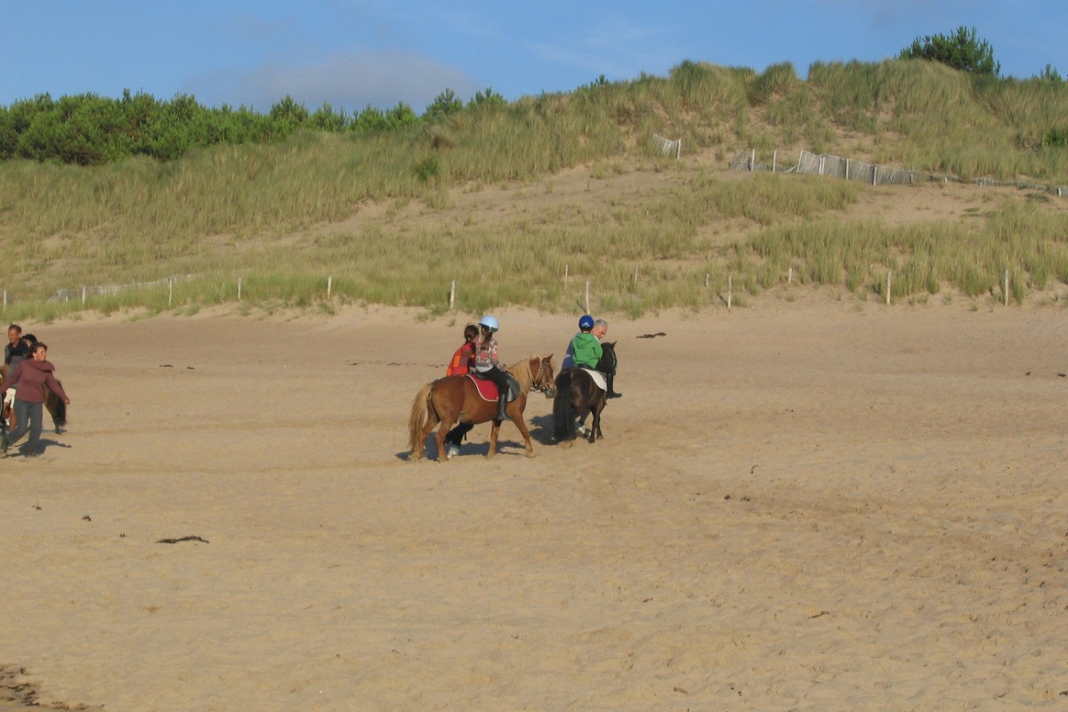 Balade à cheval sur la plage