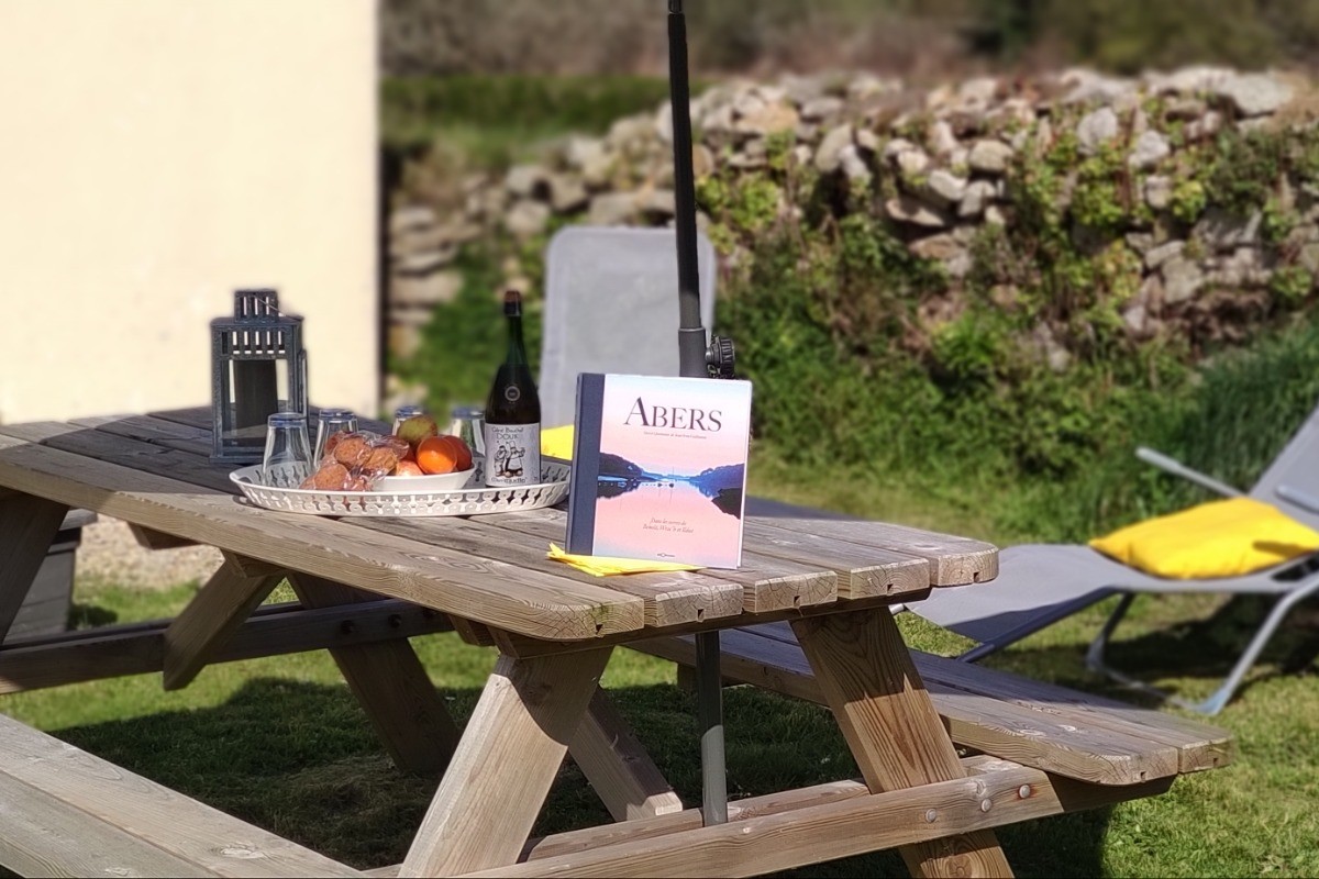 Table de pique nique