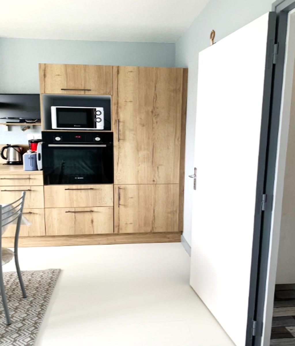 Pièce de vie avec coin cuisine aménagée et bien équipée, coin salon avec canapé convertible et TV.