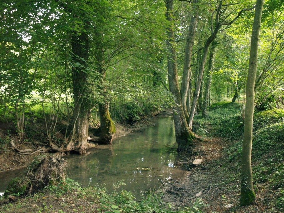 Photo n° 6 de la location