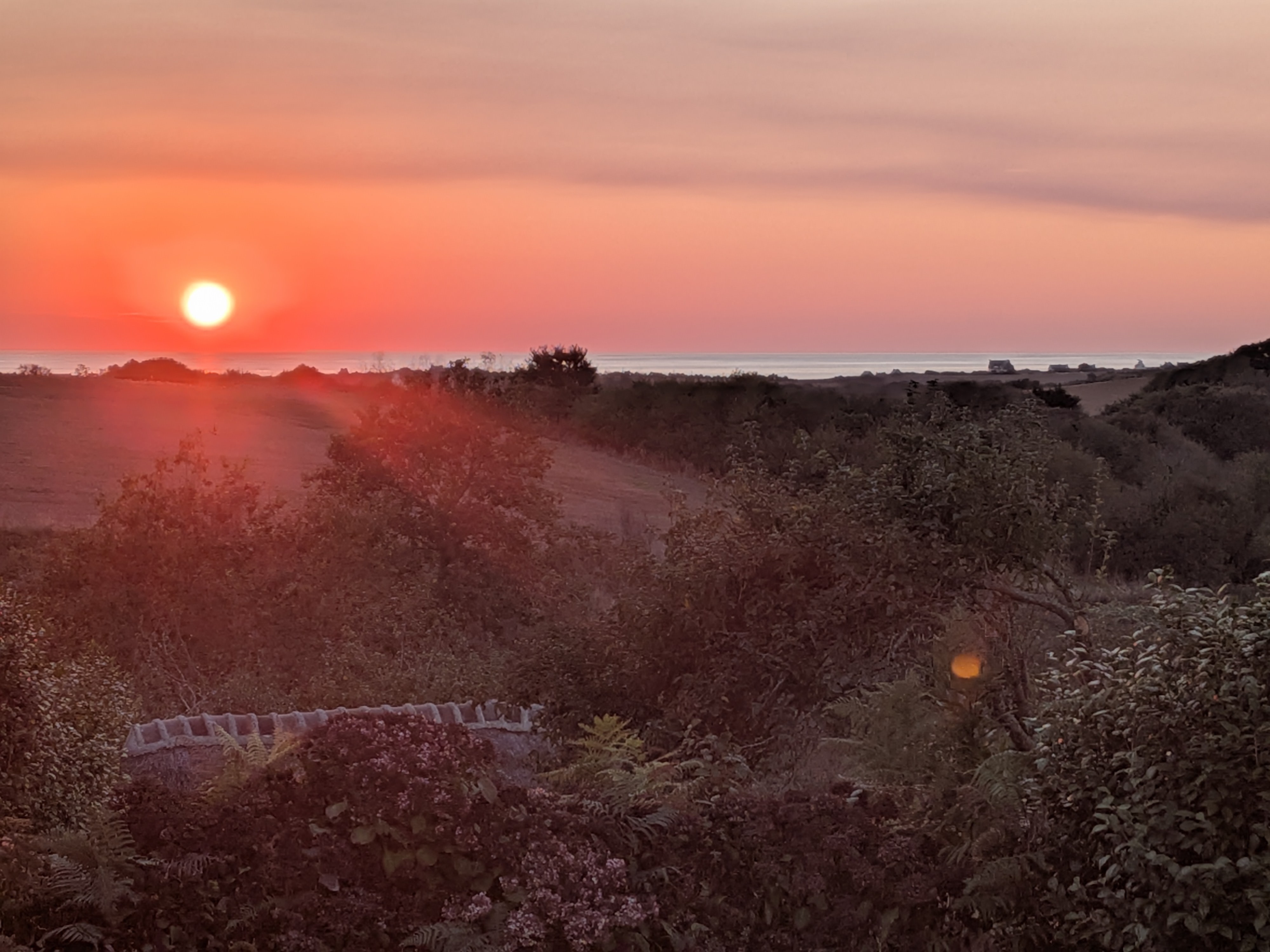 Sunset from the garden side