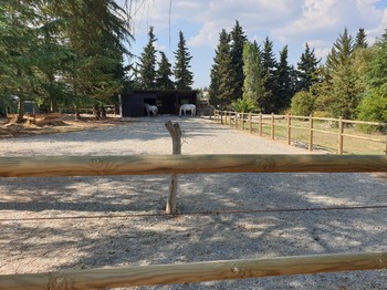 Photo n° 5 de la location