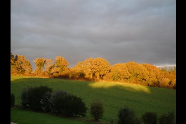 COULEURS D'AUTOMNE