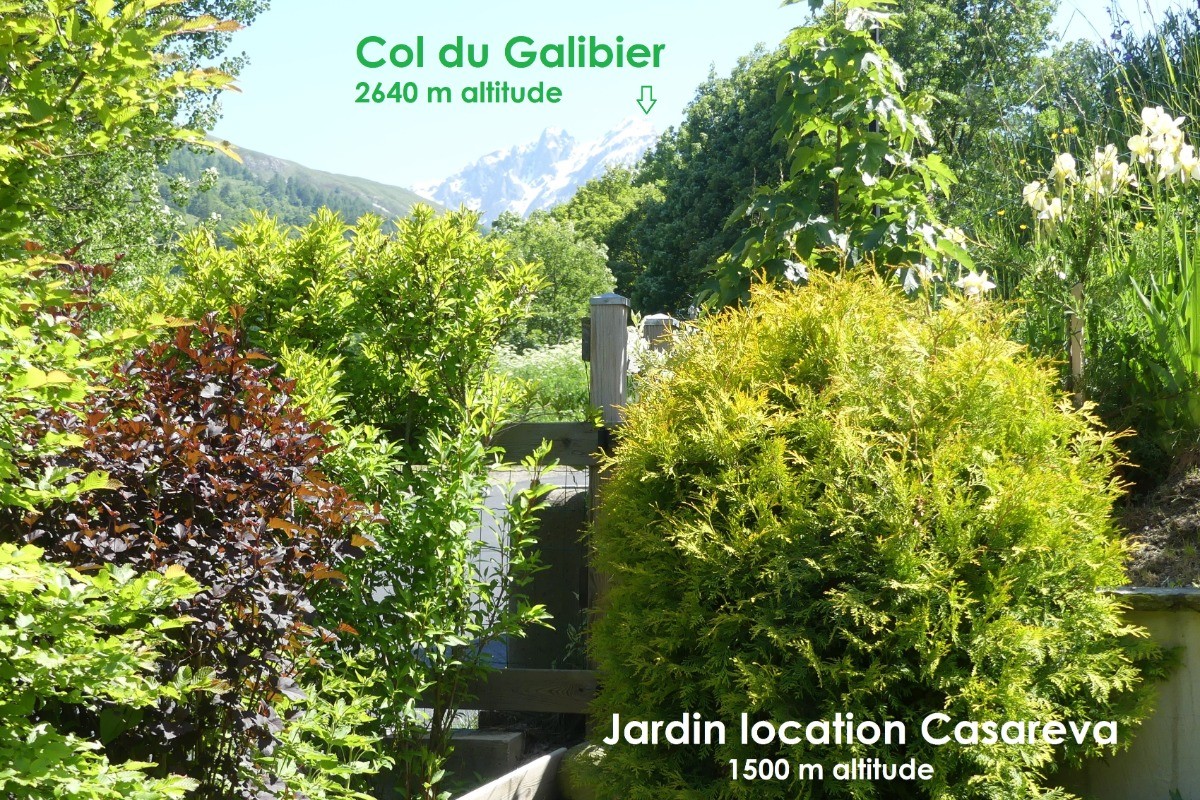 jardin Casareva vue sur le Galibier