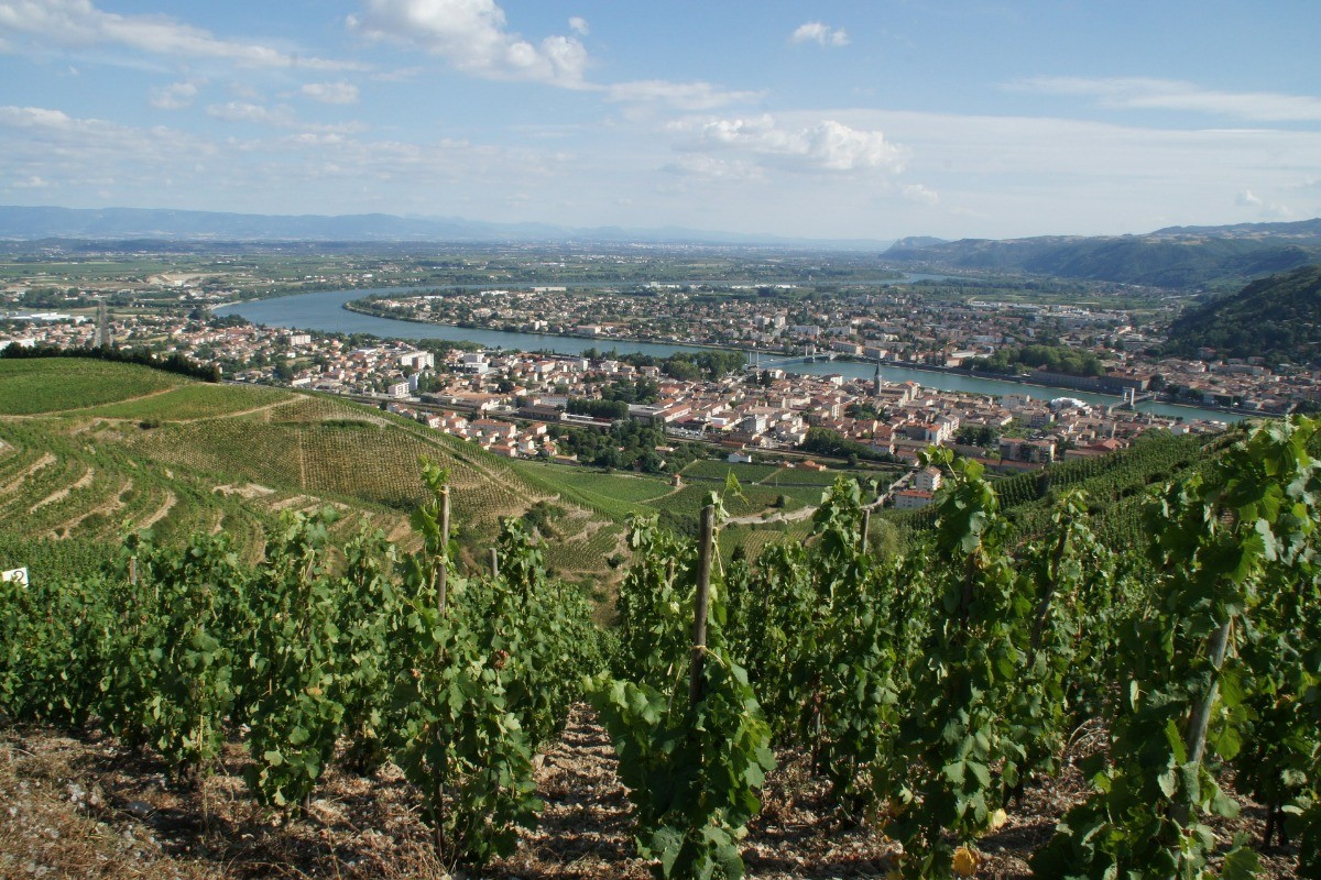 Tain l'Hermitage