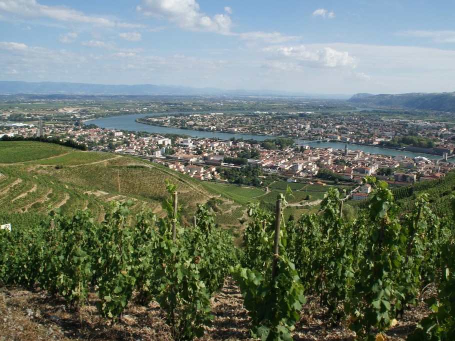 Tain l'Hermitage