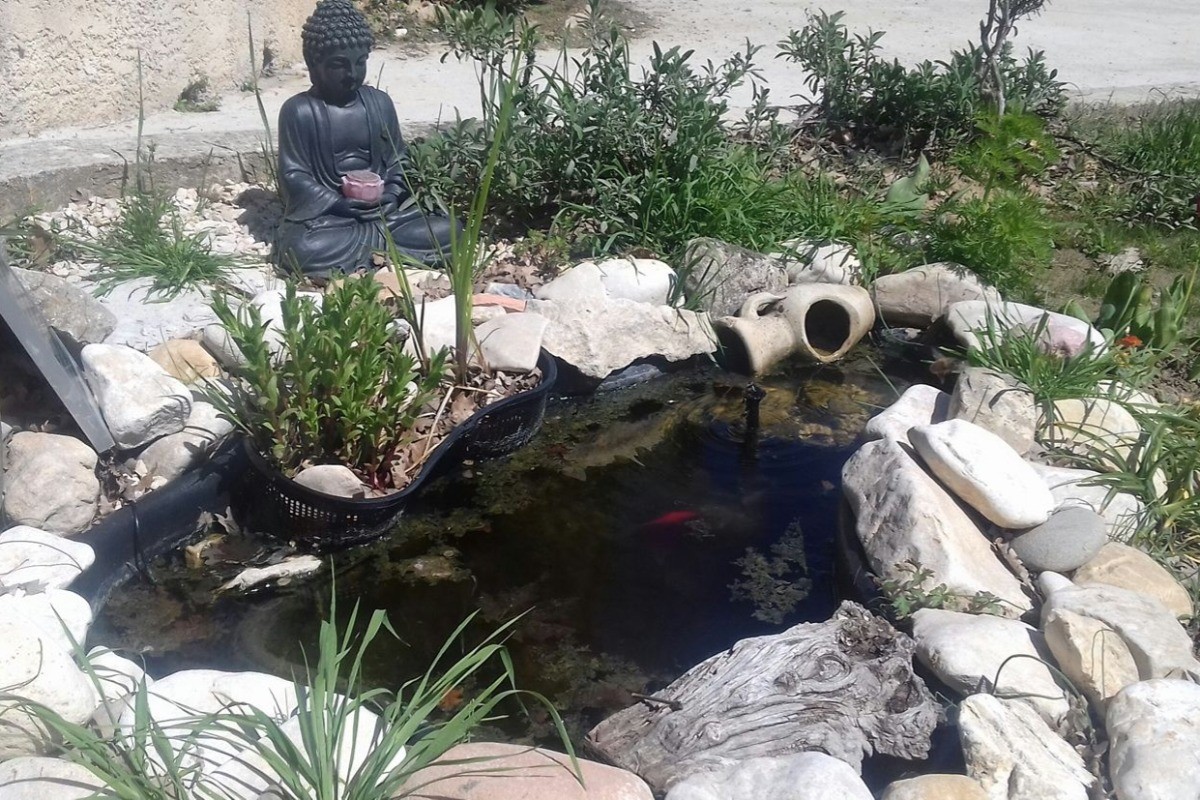 Bassin à poissons