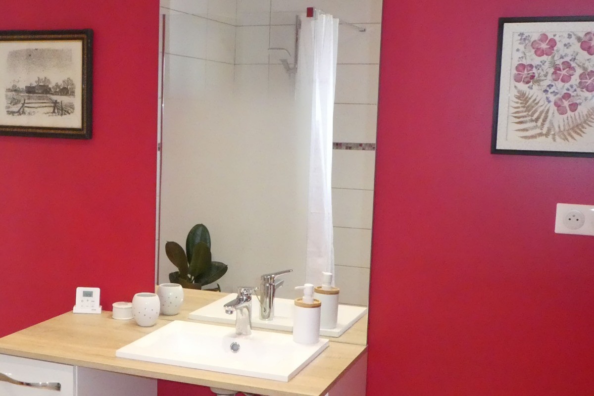 Salle d'eau chambre 1000 Pattes
